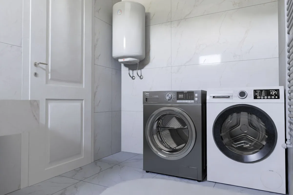 Bird & Bat Guano Cleanup in China, TX